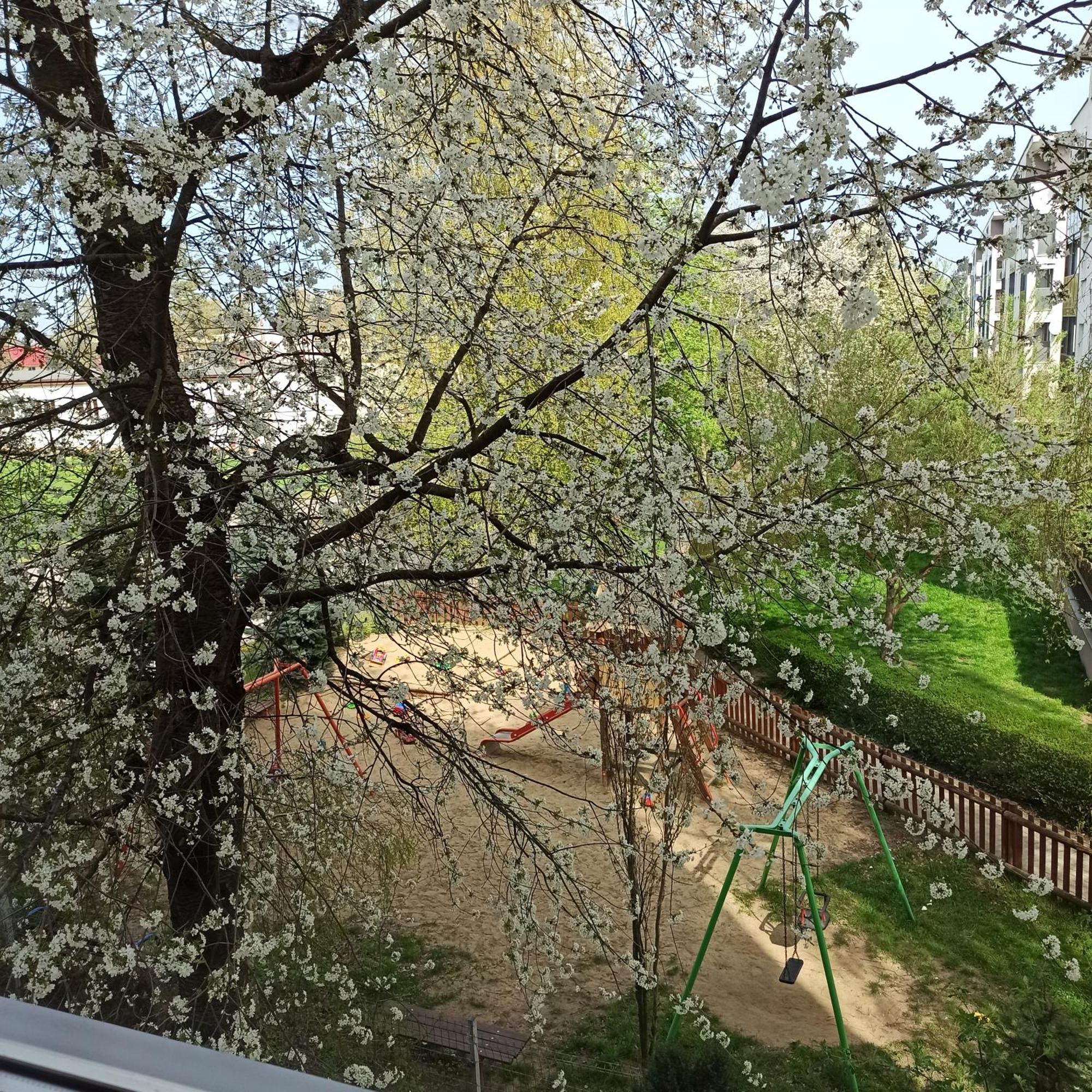Apartament Dunikowskiego 57M2 卢布林 外观 照片